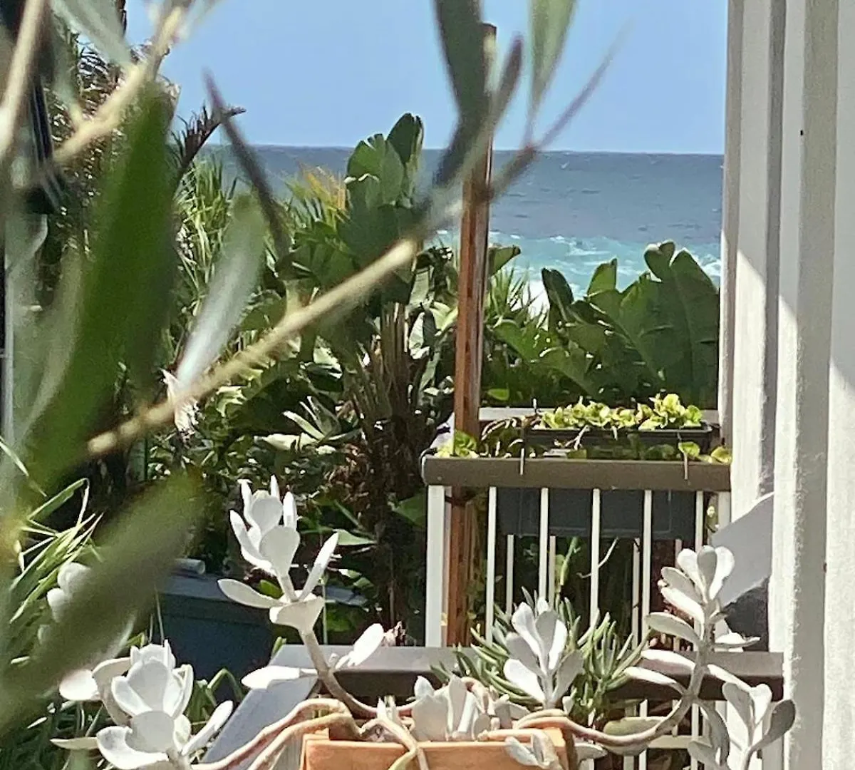 Apartment 3Bed Lennox Village Beach Pad Lennox Head Australia